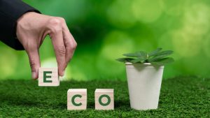 what-does-eco-friendly-mean-new-cover-1024×576